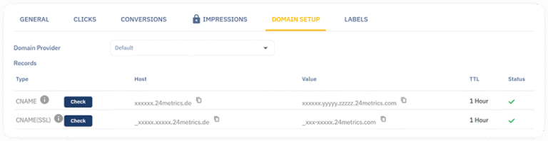 dns setup